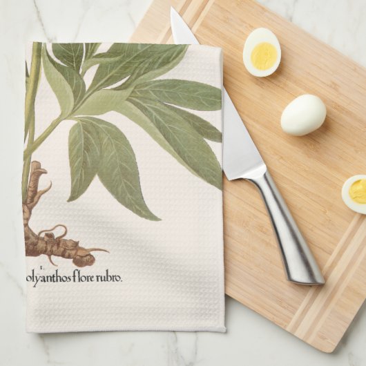  volken, volkbloemen van Basilius Besler Theedoek (Quarter Fold)