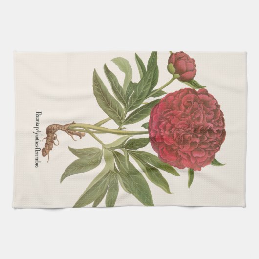 volken, volkbloemen van Basilius Besler Theedoek (Horizontaal)