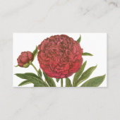  volken, volkbloemen van Basilius Besler Visitekaartje (Achterkant)