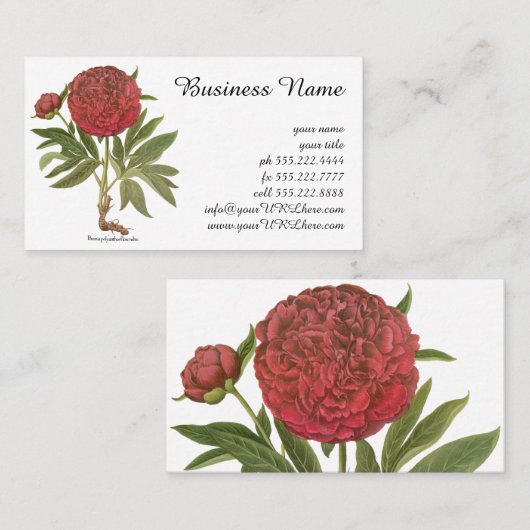  volken, volkbloemen van Basilius Besler Visitekaartje (Voorkant / Achterkant)