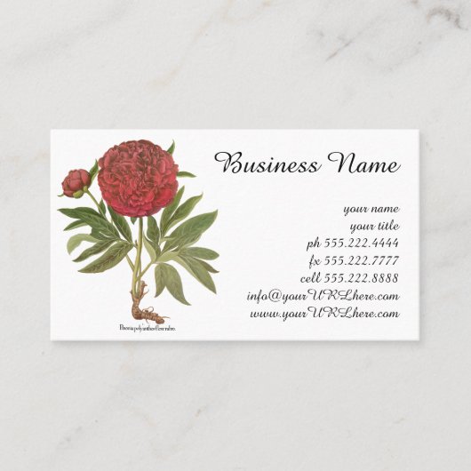  volken, volkbloemen van Basilius Besler Visitekaartje (Voorkant)