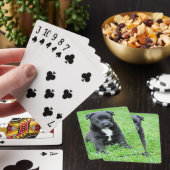 Volkomen aanbiddelijke Puppy Pokerkaarten (Insitu)