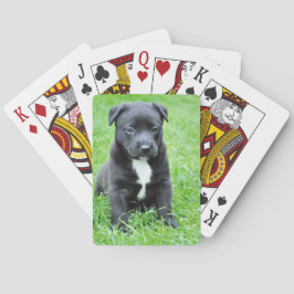 Volkomen aanbiddelijke Puppy Pokerkaarten