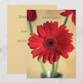 Volkomen  kaart (Voorkant / Achterkant)