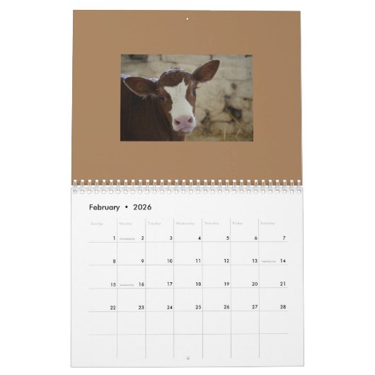 volkomen schattige Koe kalender (Feb 2026)