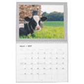 volkomen schattige Koe kalender (Mar 2027)