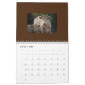 volkomen schattige Koe kalender (Jan 2027)