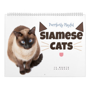 Volkomen speels: Siamese katten Kalender