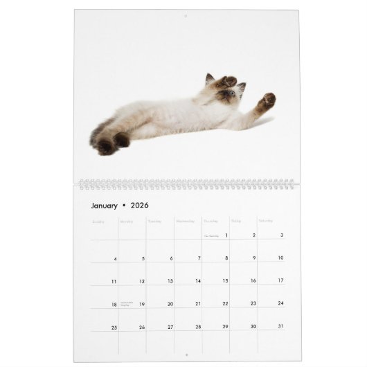 Volkomen speels: Siamese katten Kalender (Jan 2026)