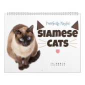 Volkomen speels: Siamese katten Kalender (Hoes)