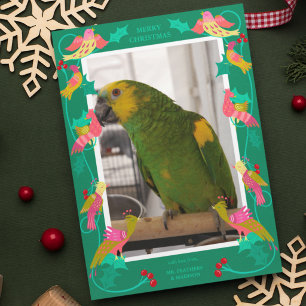 Volkskunst Vogels, Aangepaste Foto Wenskaart Feestdagenkaart