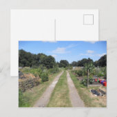 Volkstuin in het land briefkaart (Voorkant / Achterkant)