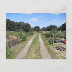 Volkstuin in het land briefkaart