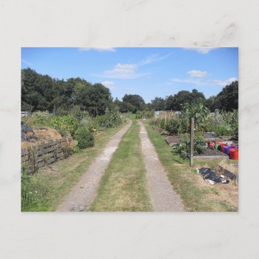 Volkstuin in het land briefkaart (Voorkant)