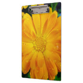  volle bloem zomergele dagbloem. klembord (Links)