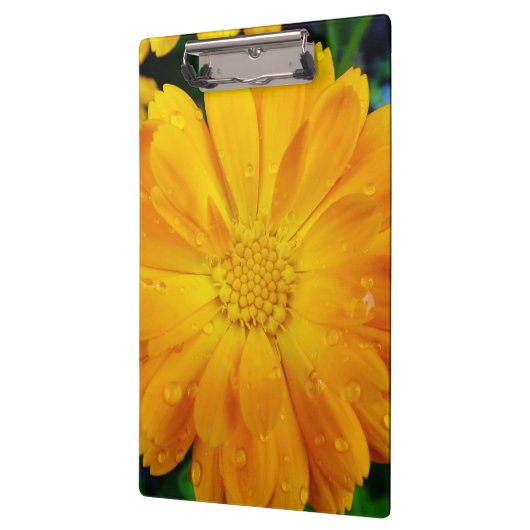  volle bloem zomergele dagbloem. klembord (Links)