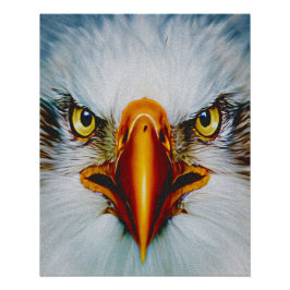 Volle Gezicht Adelaar Perfect Poster