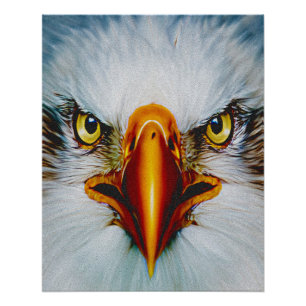 Volle Gezicht Adelaar Perfect Poster
