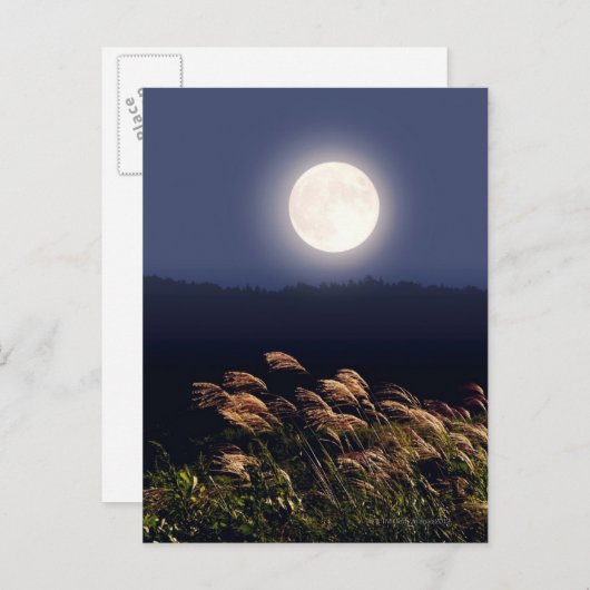 Volle Maan 2 Briefkaart (Voorkant / Achterkant)