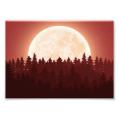 Volle Maan Bos Nacht: Een Serene Landschap Foto Afdruk (Voorkant)