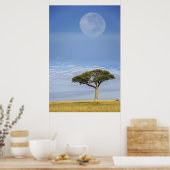 volle maan boven acacia-bomen, Masai Mara, Poster (Keuken)