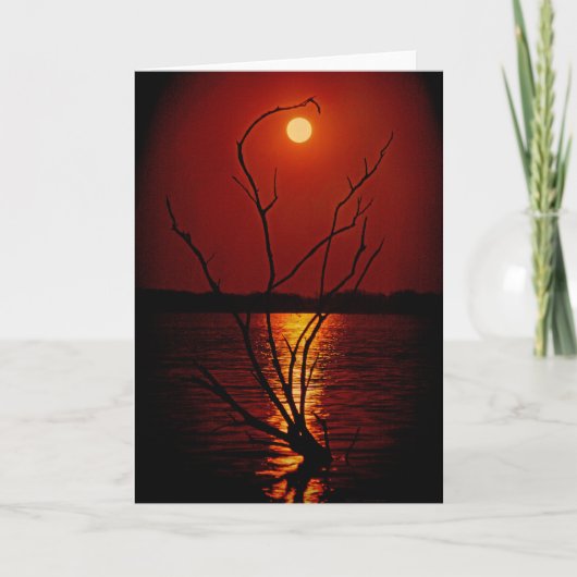 Volle maan boven het meer notecard kaart (Voorkant)
