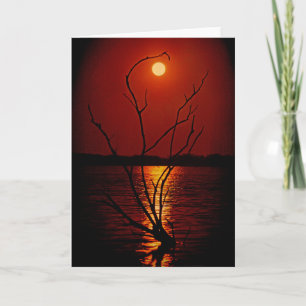 Volle maan boven het meer notecard kaart