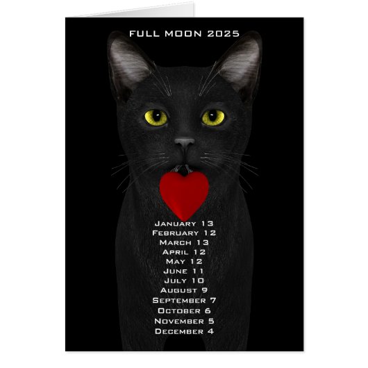 Volle maan data 2025 (Voorkant)