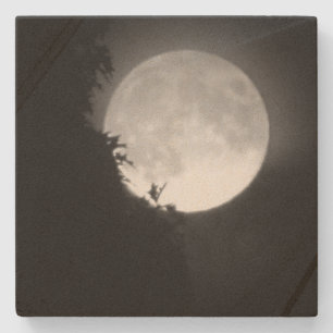 Volle maan en boom stenen onderzetter