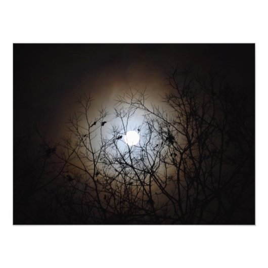 Volle Maan Foto Foto Afdruk (Voorkant)