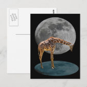 VOLLE MAAN GIRAFFE BRIEFKAART (Voorkant / Achterkant)