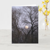 Volle maan in de Naakte foto van Bomen Kaart (Gele Bloem)