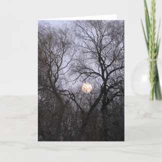 Volle maan in de Naakte foto van Bomen Kaart
