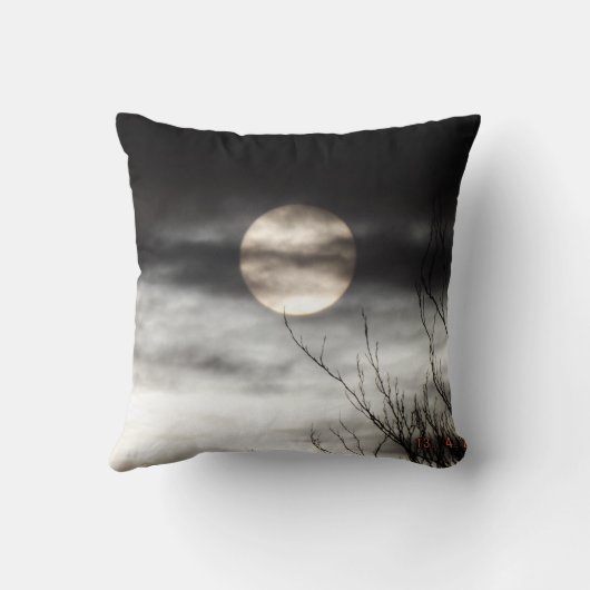 volle maan kussen (Achterkant)
