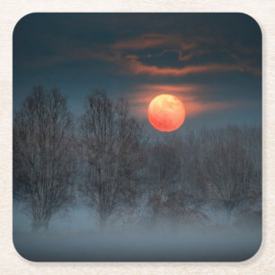 Volle Maan   November in Scalenghe, Italië Kartonnen Onderzetters