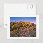 " Volle Maan Ondergaand Boven Ring Of Fire" Briefkaart (Voorkant / Achterkant)