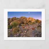 " Volle Maan Ondergaand Boven Ring Of Fire" Briefkaart (Voorkant)