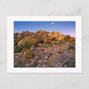 " Volle Maan Ondergaand Boven Ring Of Fire" Briefkaart