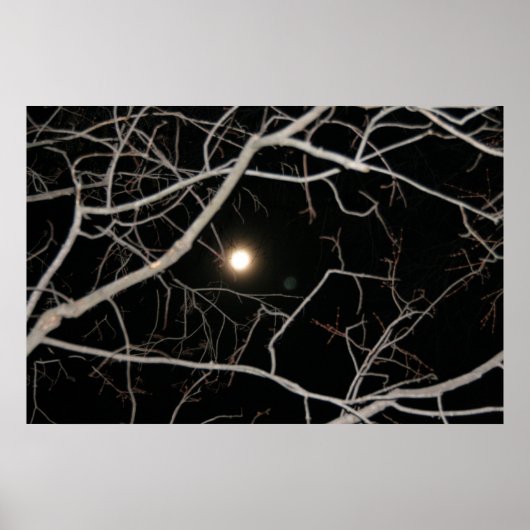 Volle maan op de webposter poster (Voorkant)