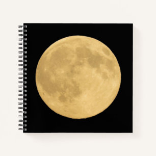Volle Maan   Seattle, Washington Notitieboek