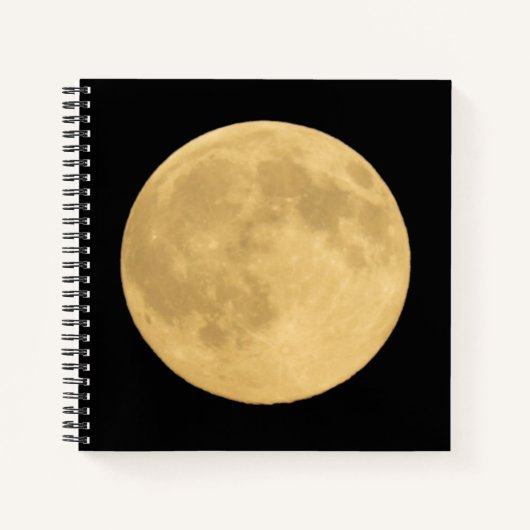 Volle Maan | Seattle, Washington Notitieboek (Voorkant)
