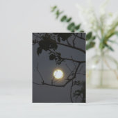 Volle maan waanzin briefkaart (Staand voorkant)