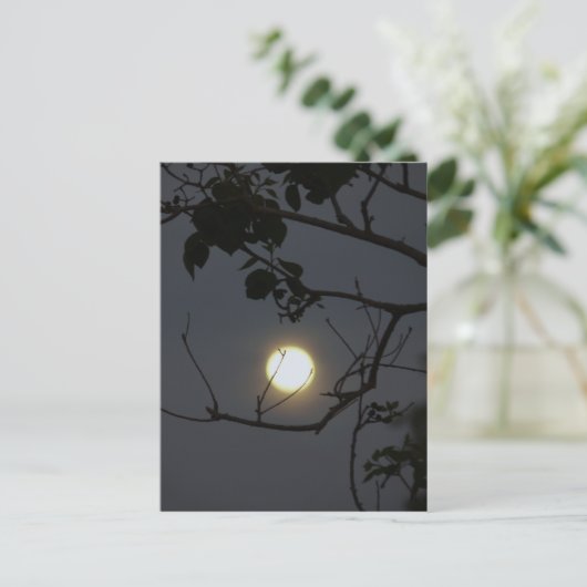 Volle maan waanzin briefkaart (Staand voorkant)