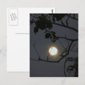 Volle maan waanzin briefkaart (Voorkant / Achterkant)