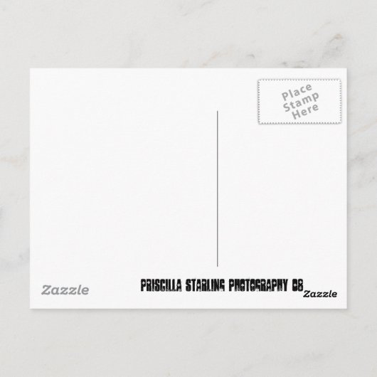 Volle maan waanzin briefkaart (Achterkant)