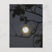 Volle maan waanzin briefkaart (Voorkant)