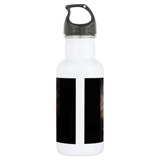 volle maan waterfles (Achterkant)