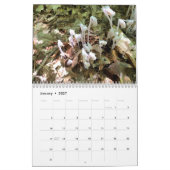 Volledig aanpasbare 12-maands fotokalender kalender (Jan 2027)