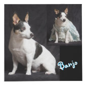 Volledig aanpasbare fotokubus (Rechts)