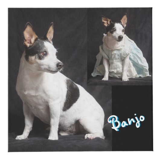 Volledig aanpasbare fotokubus (Rechts)